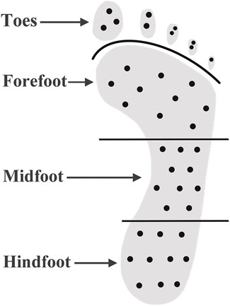 www.frontiersin.org