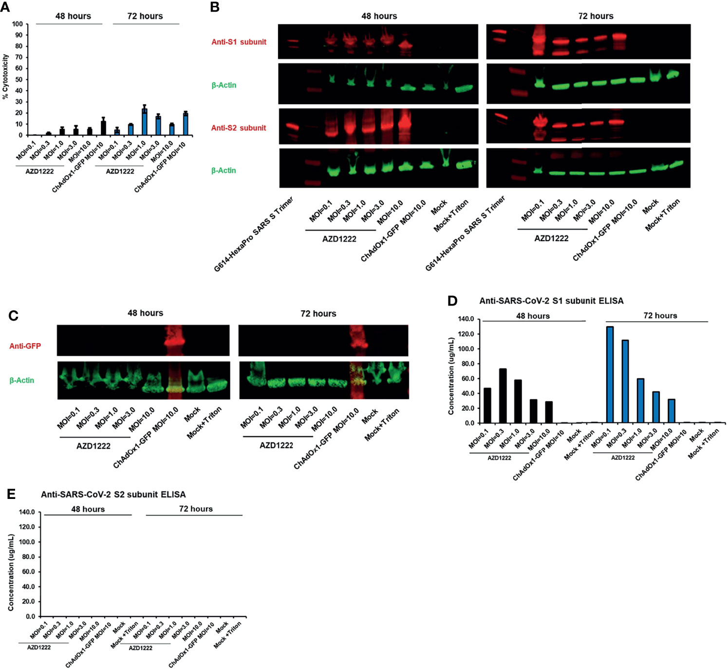 Frontiers  SARS-CoV-2 Spike Protein Expression In Vitro and Hematologic  Effects in Mice Vaccinated With AZD1222 (ChAdOx1 nCoV-19)