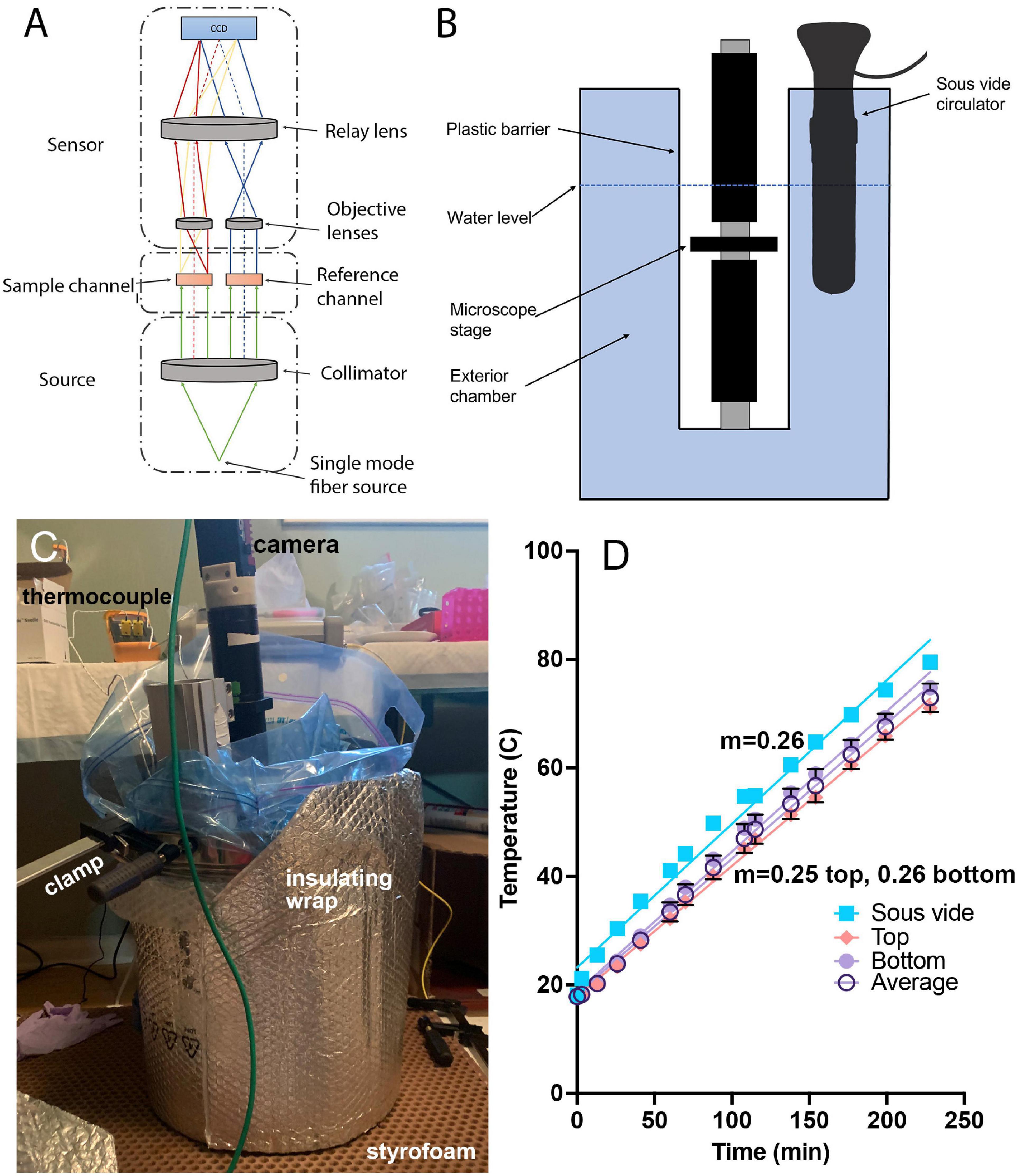 Frontiers  Quantification of Motility in Bacillus subtilis at Temperatures  Up to 84°C Using a Submersible Volumetric Microscope and Automated Tracking