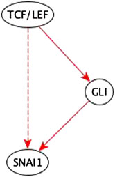 www.frontiersin.org