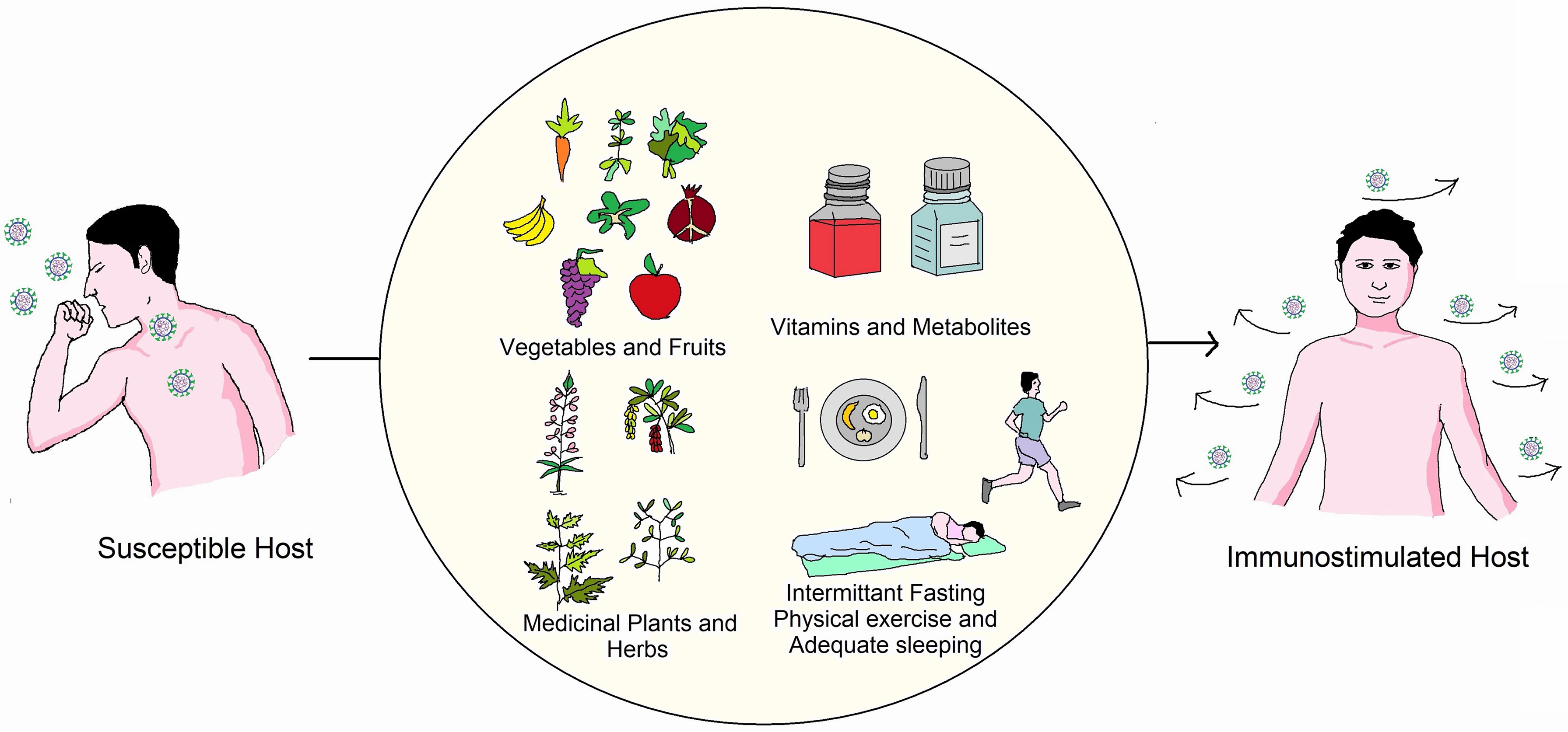 Immune system resilience strategies