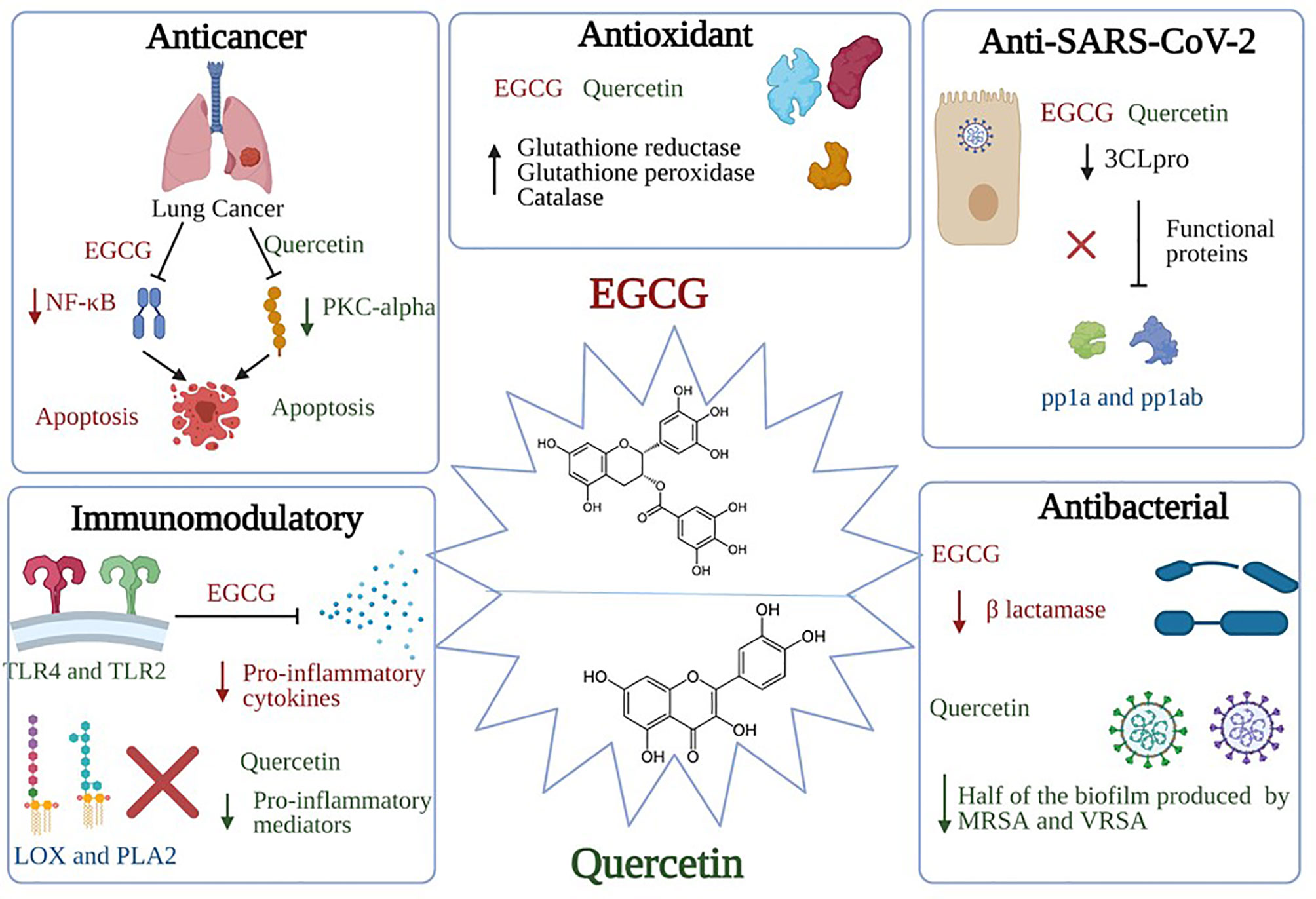 Frontiers | Prospective Medicinal Plants and Their