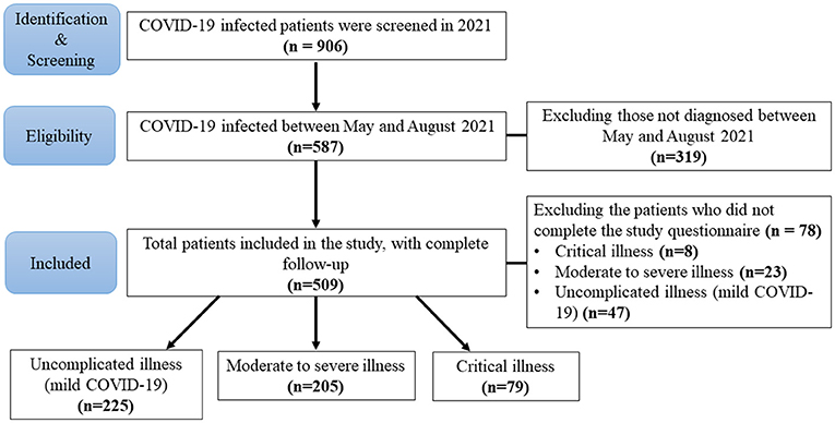 Frontiers | COVID-19 Illness Severity in the Elderly in Relation to ...