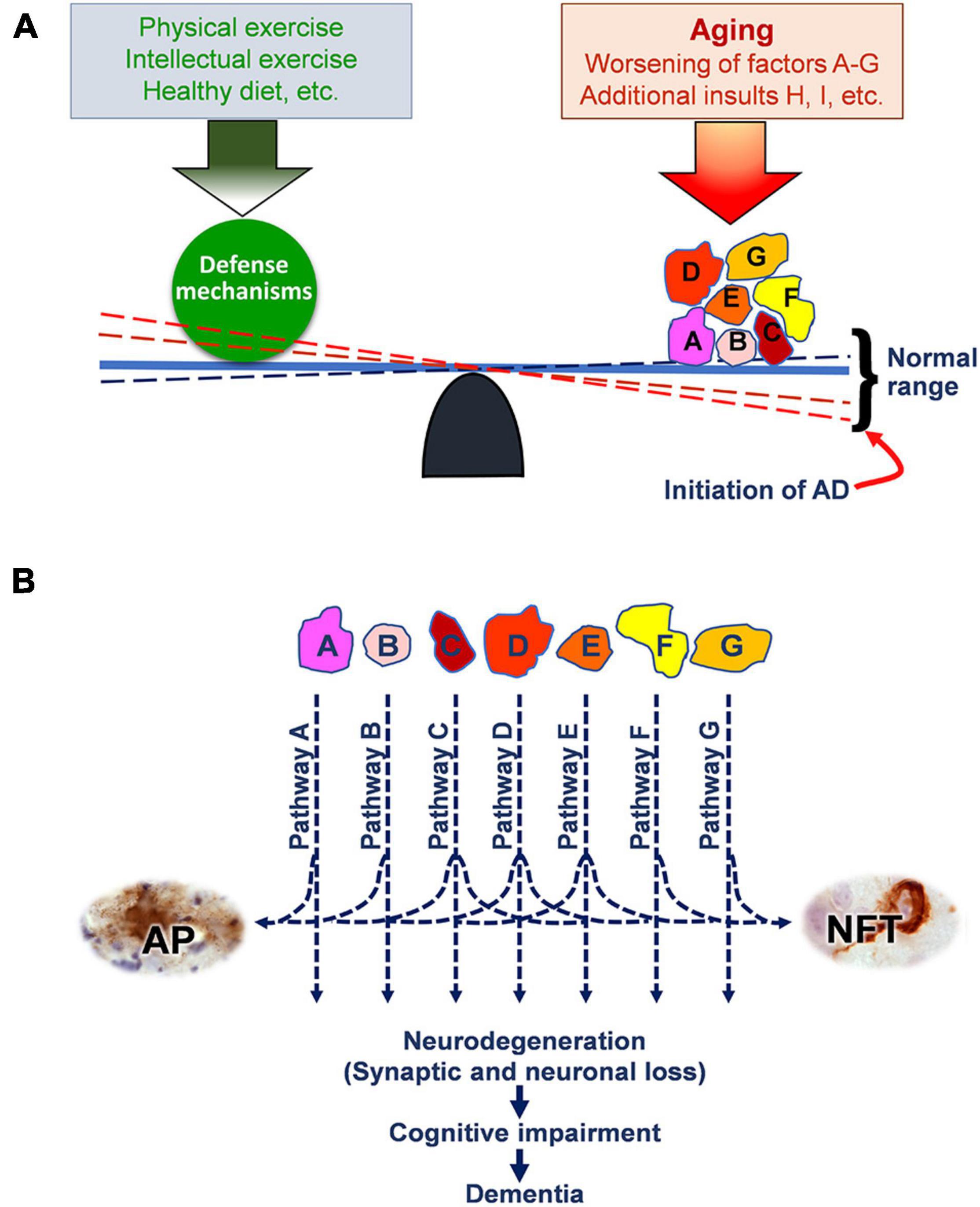 Natural Bioactive Molecules as Neuromedicines for the Treatment/Prevention  of Neurodegenerative Diseases