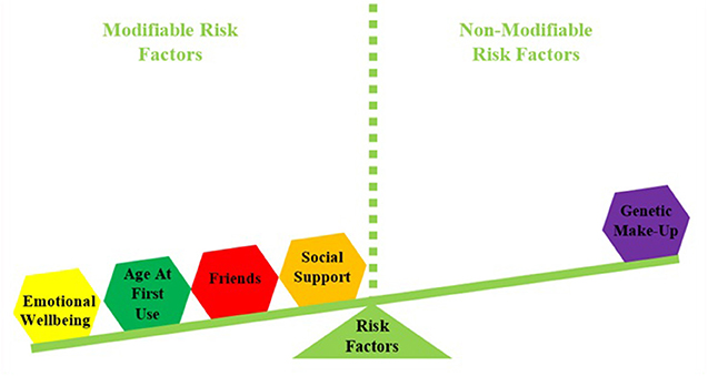 图2 -可更改的风险因素(左)可以更改，而不可更改的风险因素(右)则不能更改。