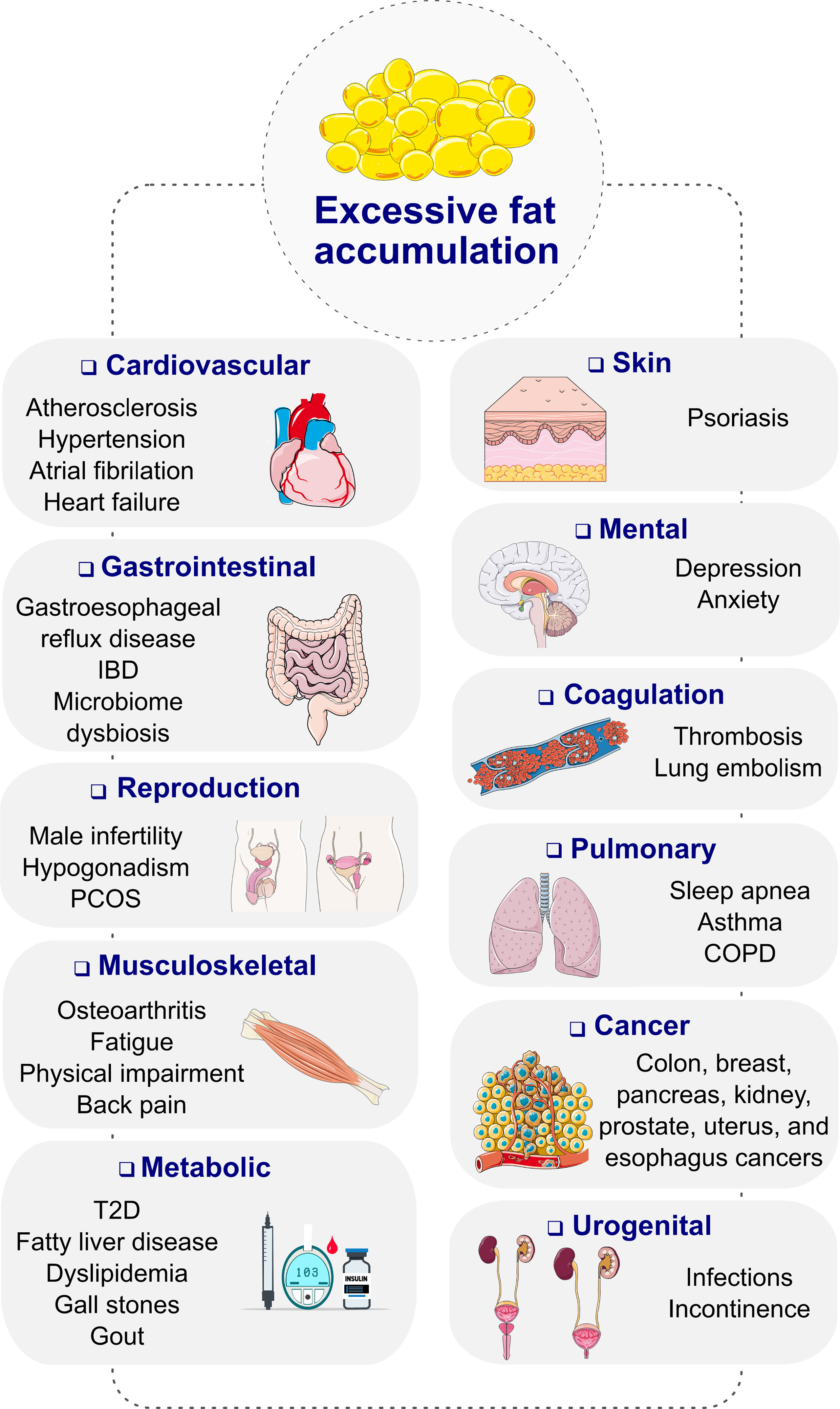Frontiers | Recent Advances in Incretin-Based Pharmacotherapies for the  Treatment of Obesity and Diabetes