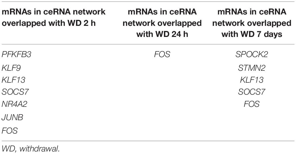 www.frontiersin.org