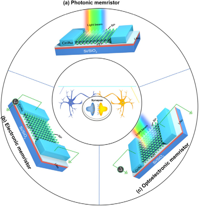 Time evolution of a radial wire arrays composed of 16 tungsten wires