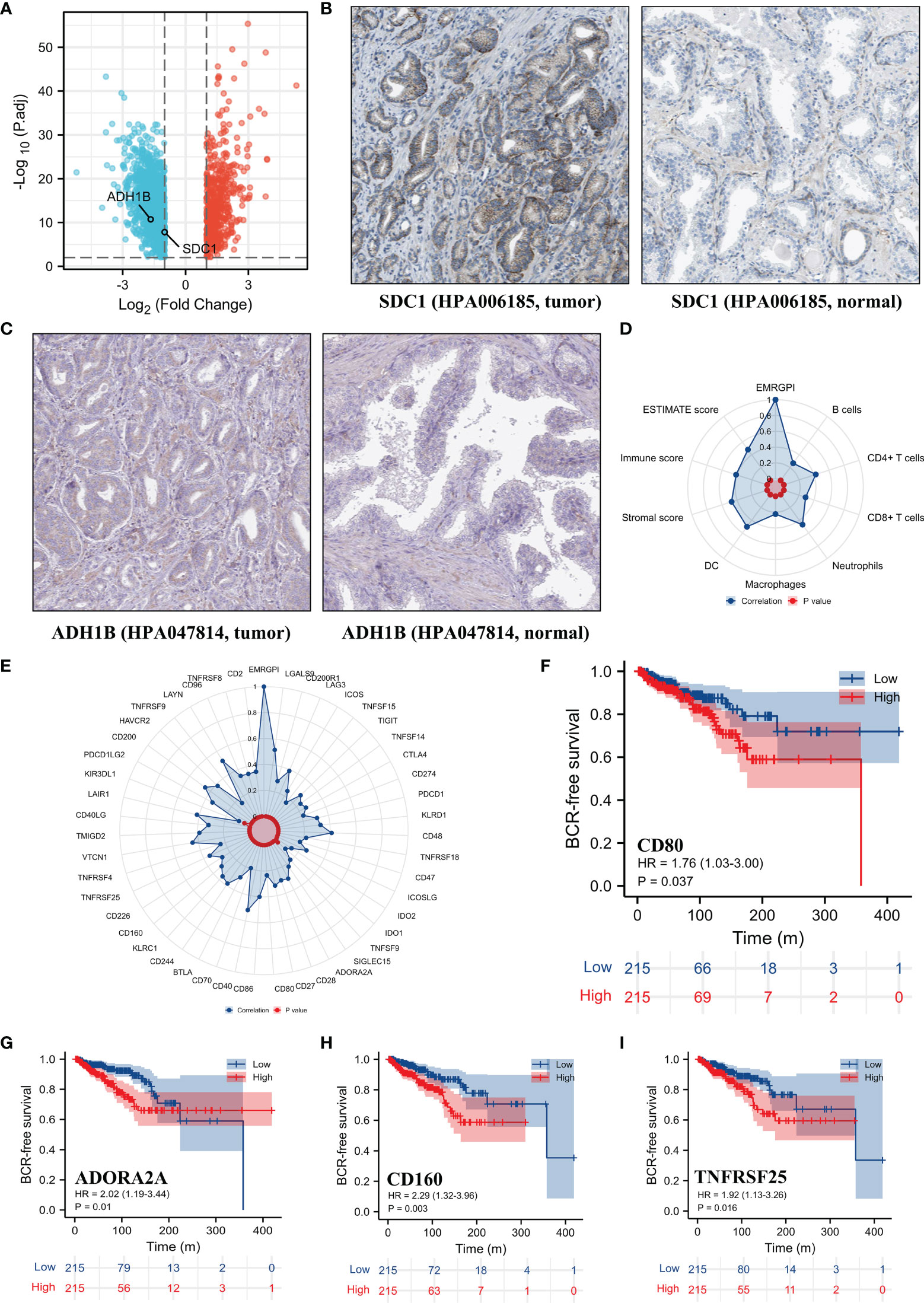 Frontiers  Boldness Predicts Aggressiveness, Metabolism, and