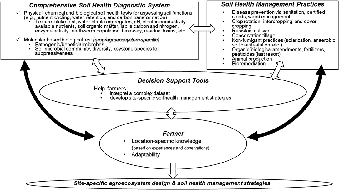 Nematodes - Soil Health Nexus