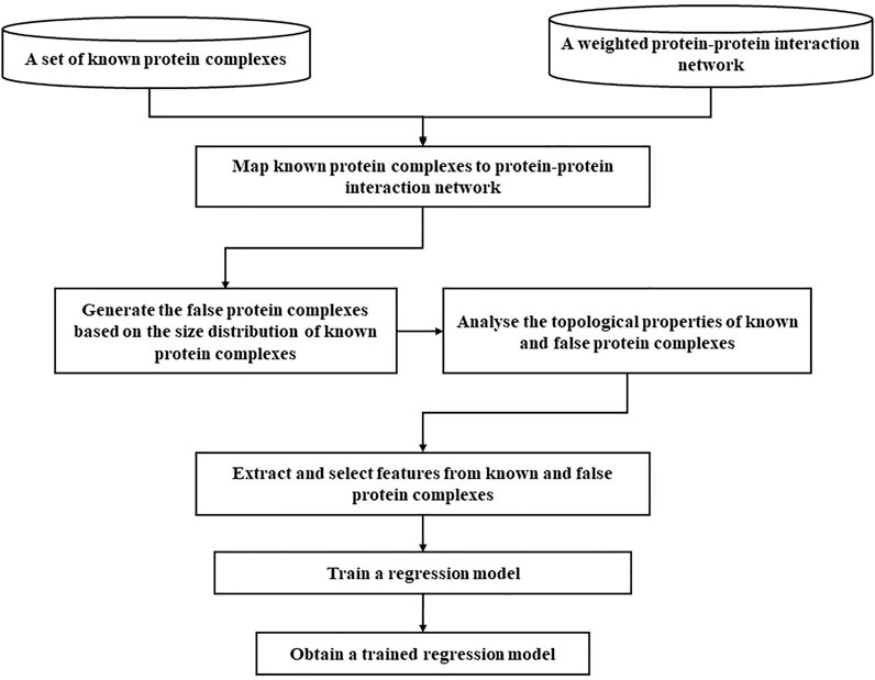 Frontiers | An Ensemble Learning Framework for Detecting Protein ...