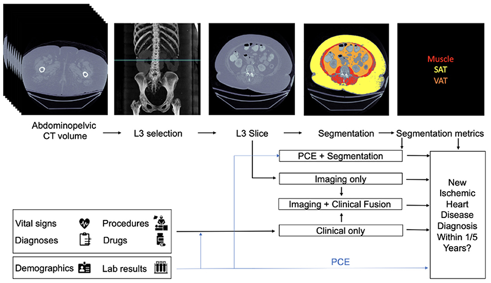 Daily heart health monitoring in a scale - Today's Medical Developments