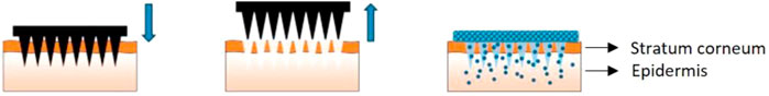www.frontiersin.org