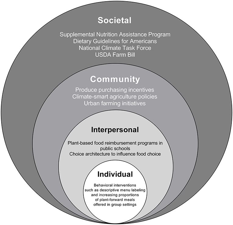 Frontiers  Analysis of food literacy dimensions and indicators: A case  study of rural households