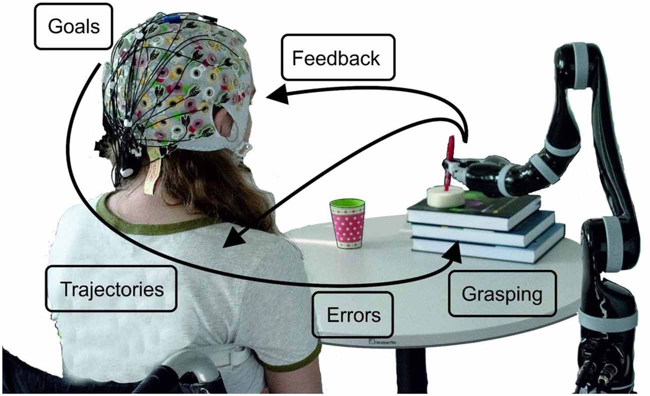 A brain-computer interface that evokes tactile sensations improves robotic  arm control