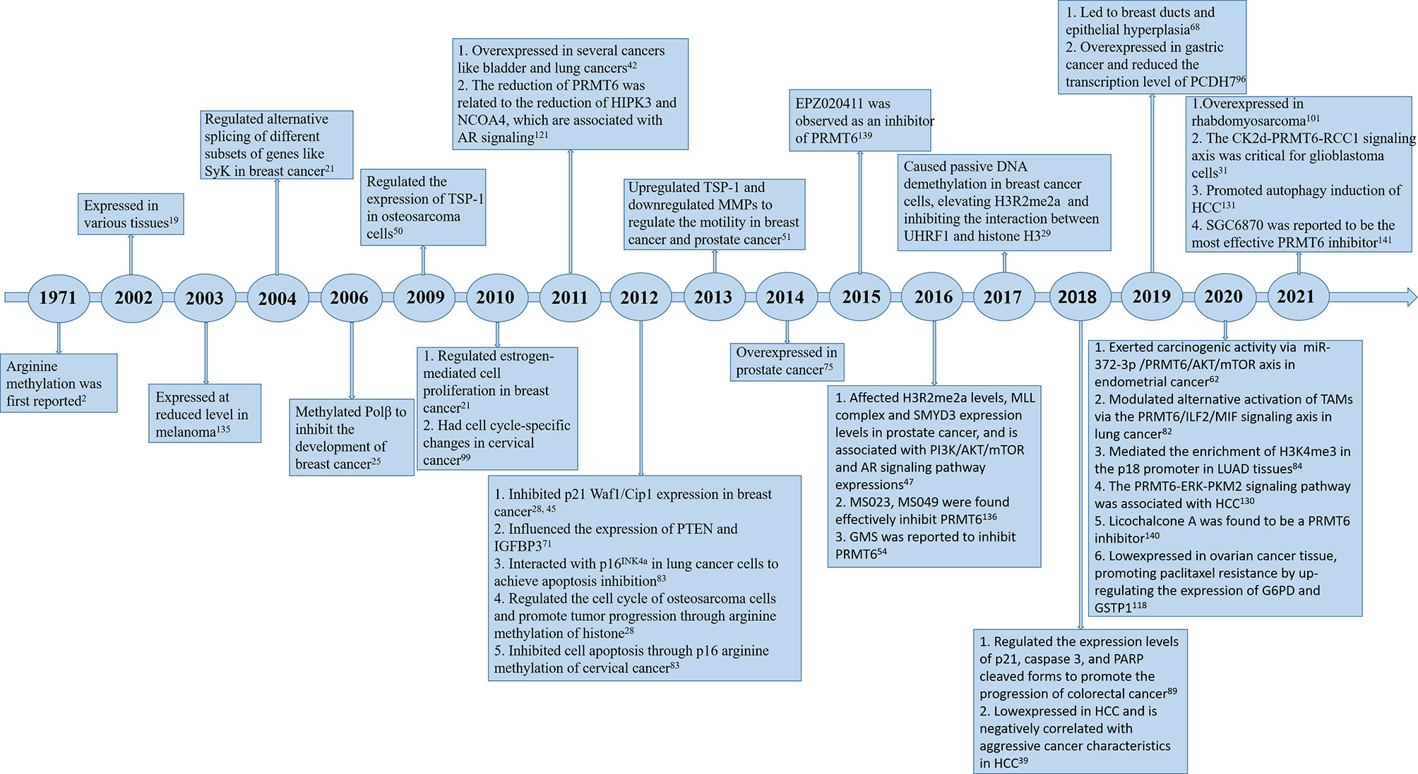 Frontiers The Emerging Role Of Prmt6 In Cancer