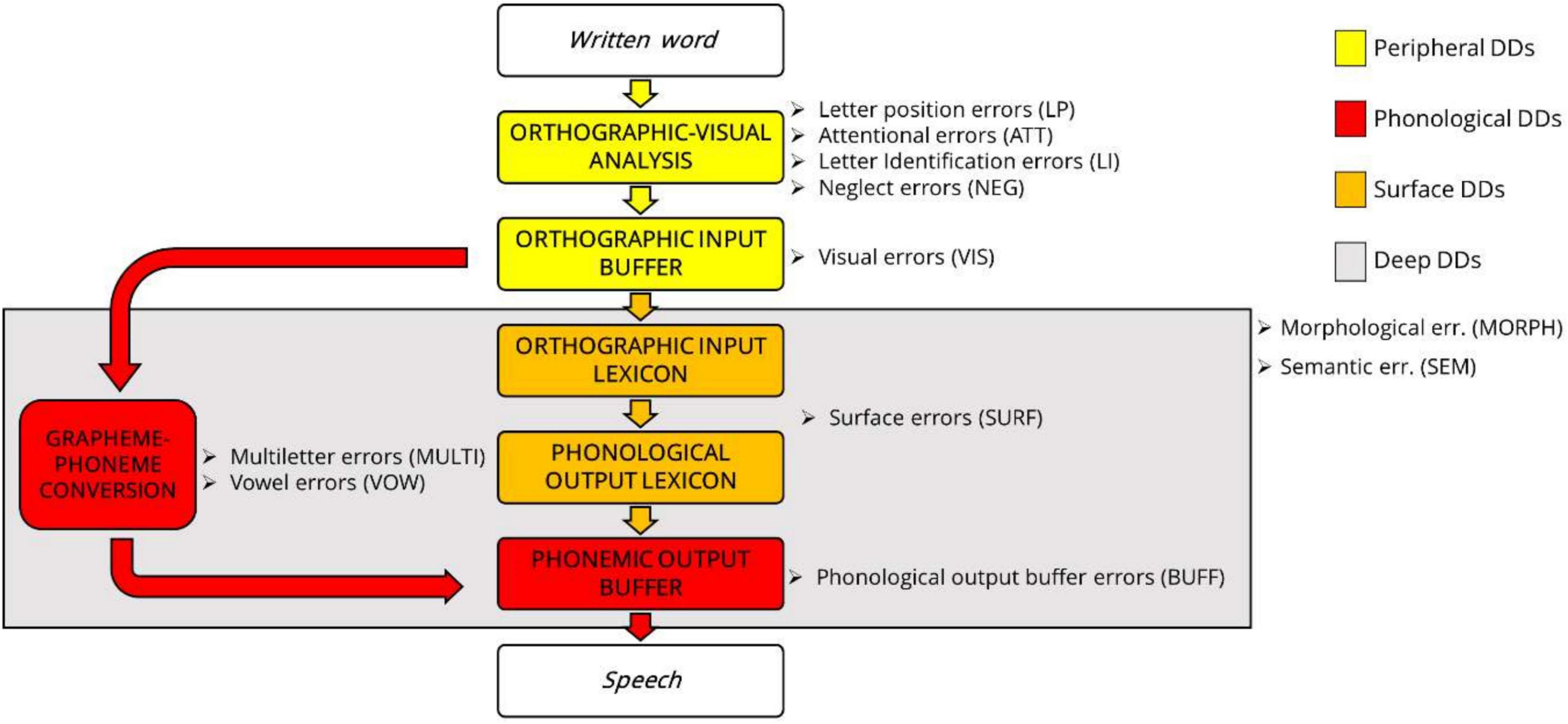 Terms Size up and Wonder are semantically related or have opposite