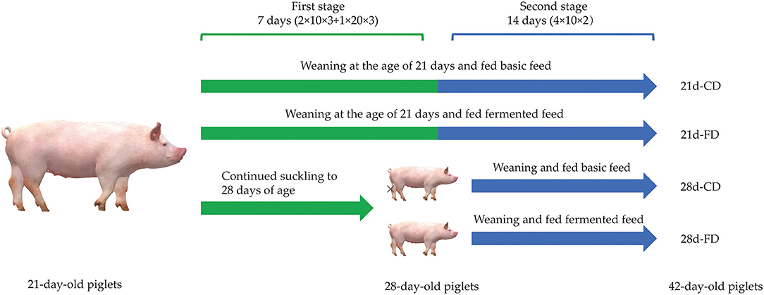 Benefits of fermentation — CO Project Farm