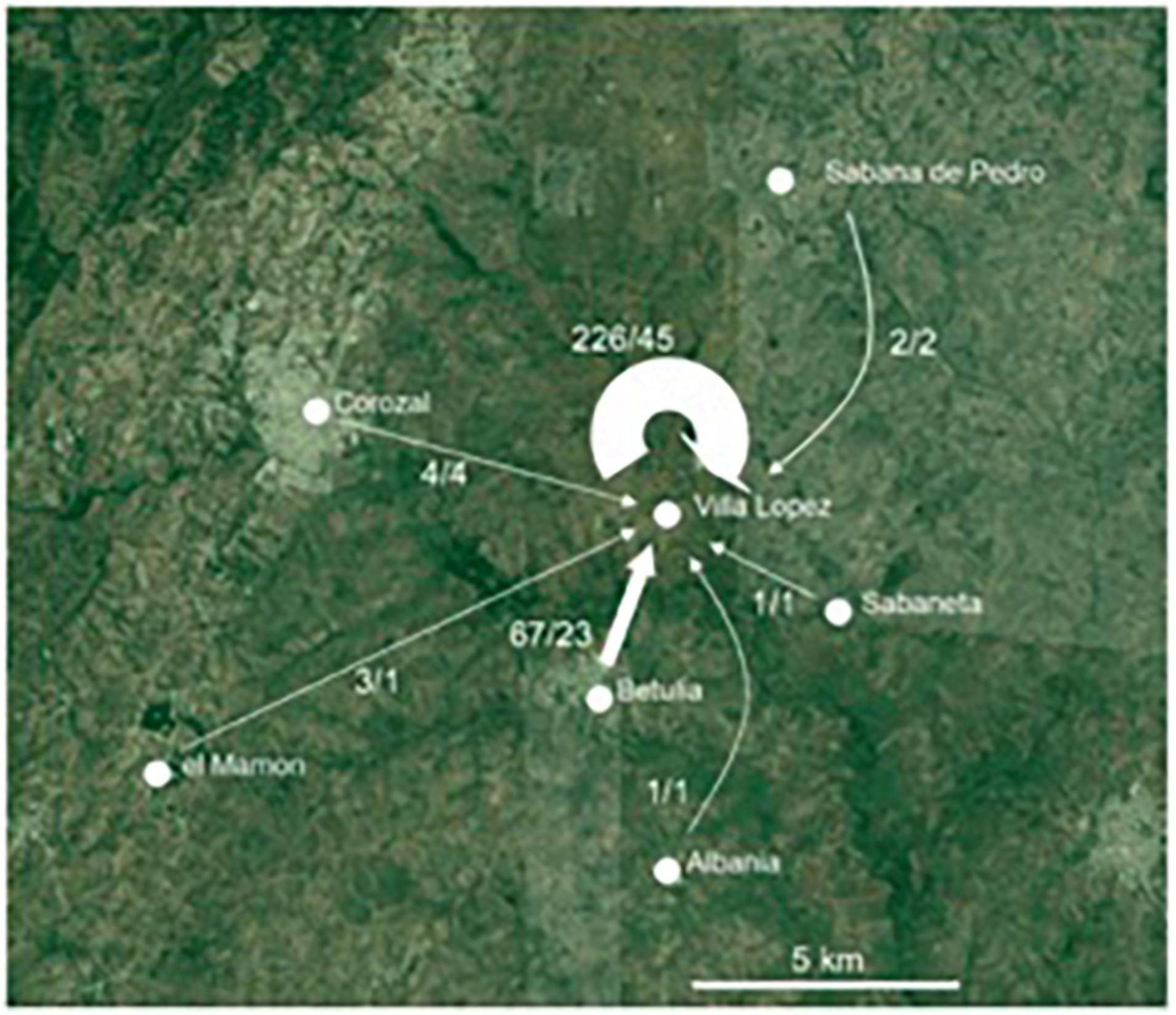 www.frontiersin.org