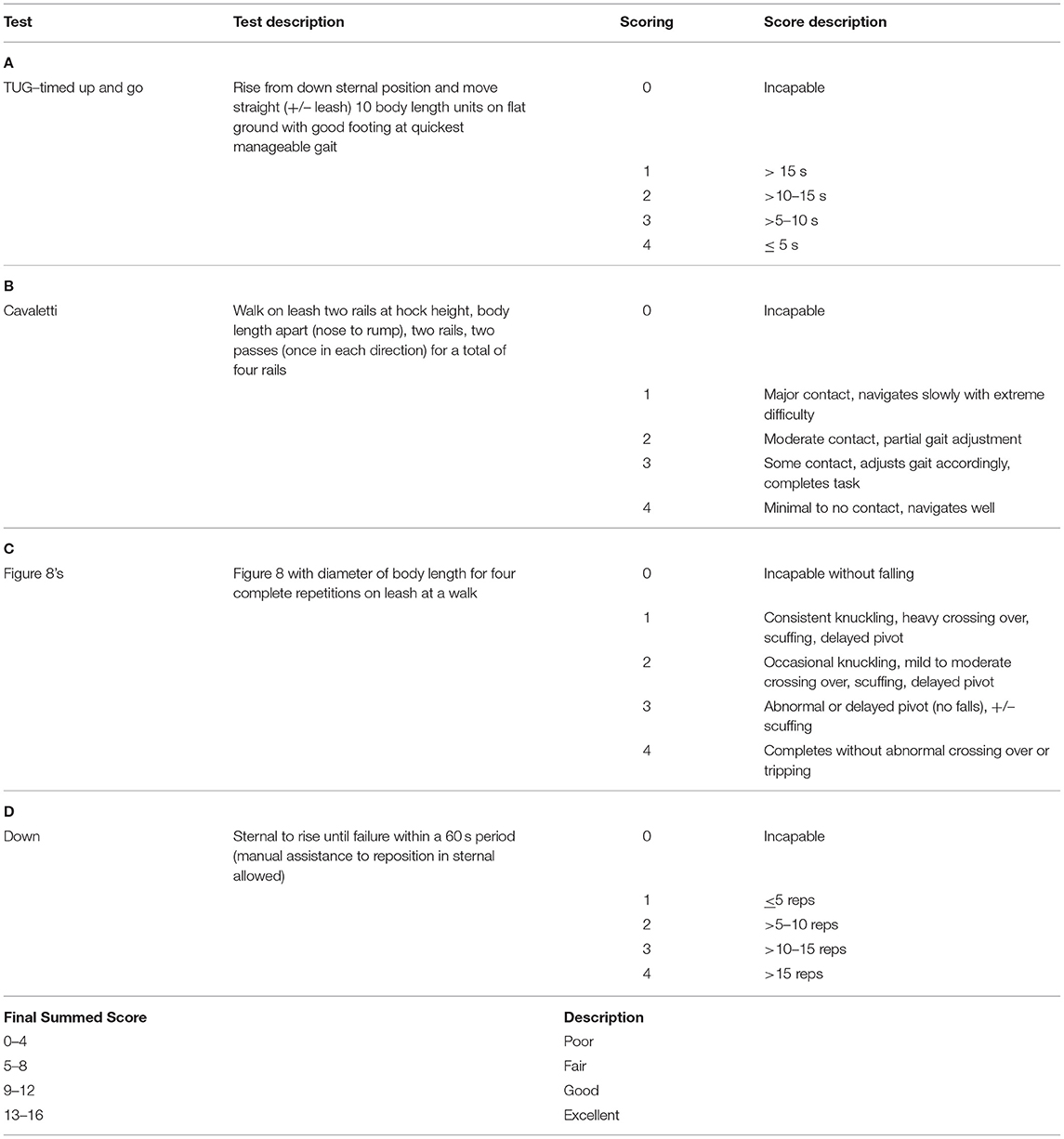 Frontiers | Canine Geriatric Rehabilitation: Considerations and 