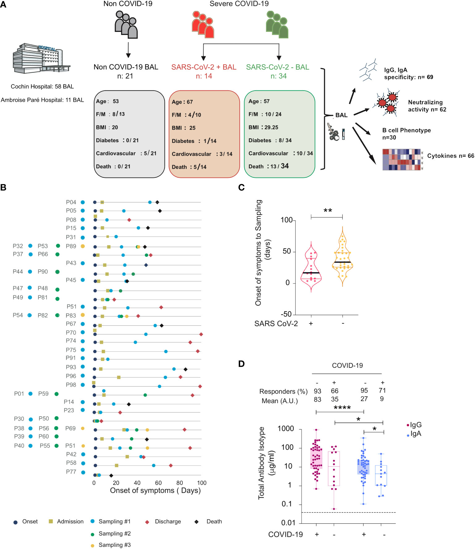 Widespread vertical transmission of secretory immunoglobulin A