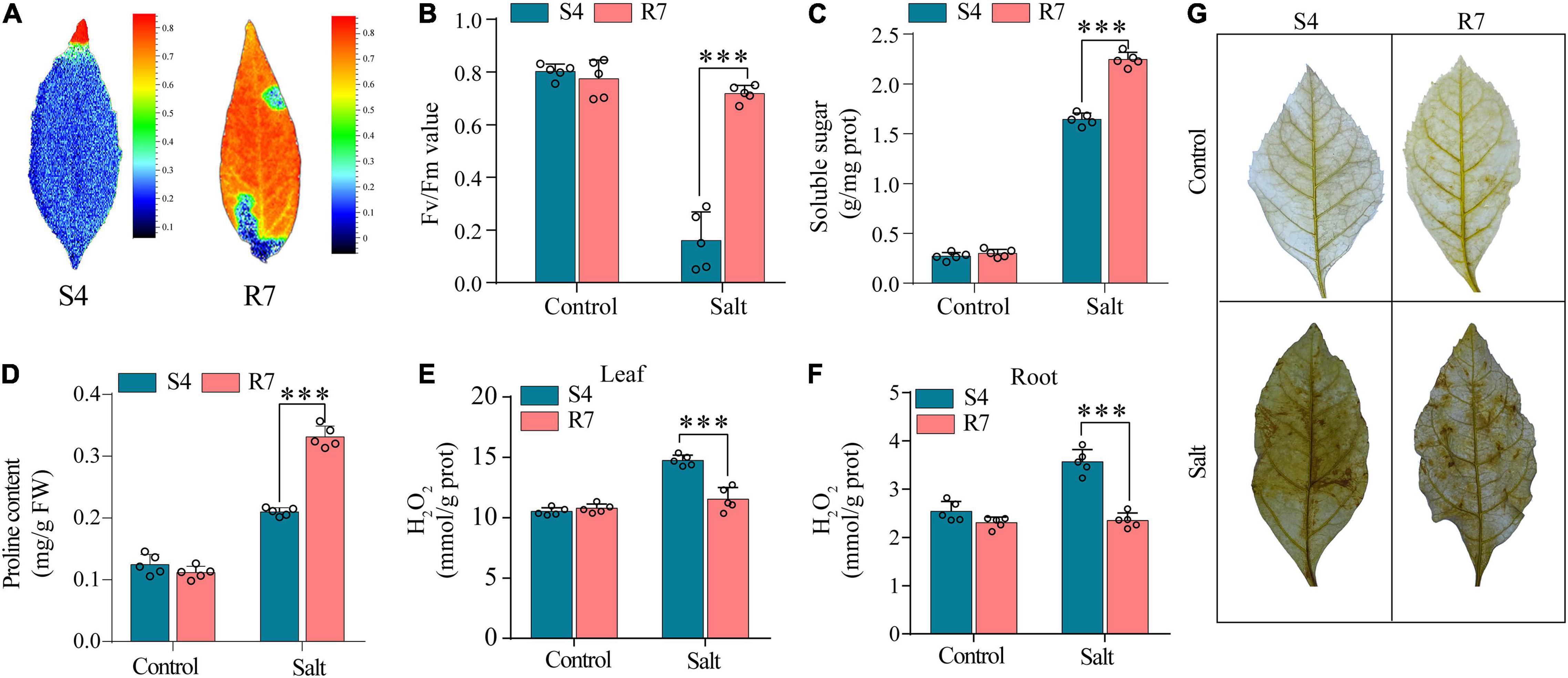 Frontiers | Comparative Transcriptome Analysis Unravels Defense Frontiers | Comparative Transcriptome Analysis Unravels Defense