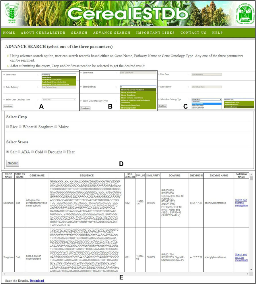 www.frontiersin.org