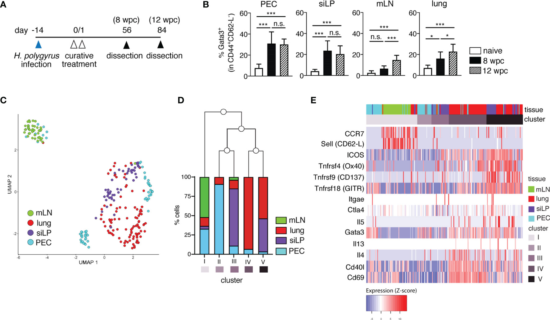 Invitrogen™ ERCC ExFold RNA Spike-In Mixes