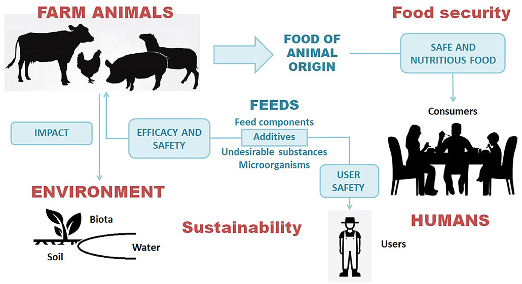 Frontiers | Risk-Benefit Assessment of Feed Additives in the One Health Perspective Frontiers | Risk-Benefit Assessment of Feed Additives in the One Health Perspective