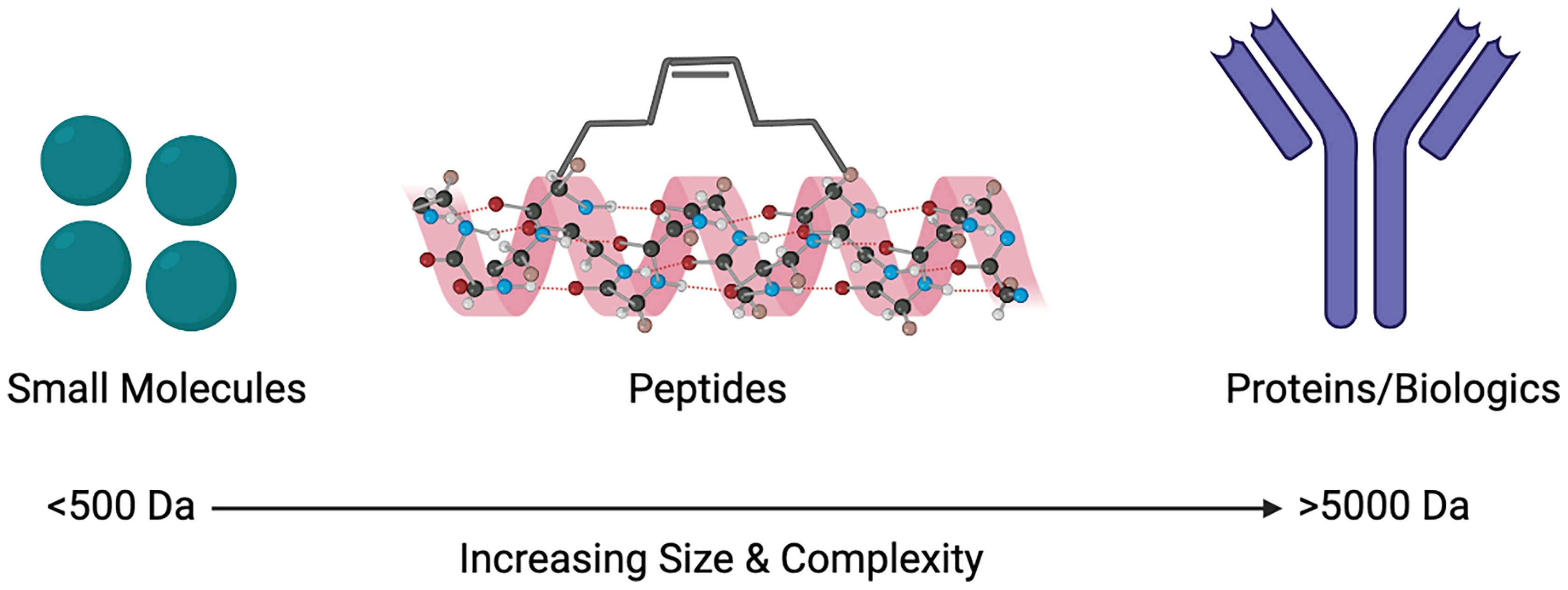 small protein packer