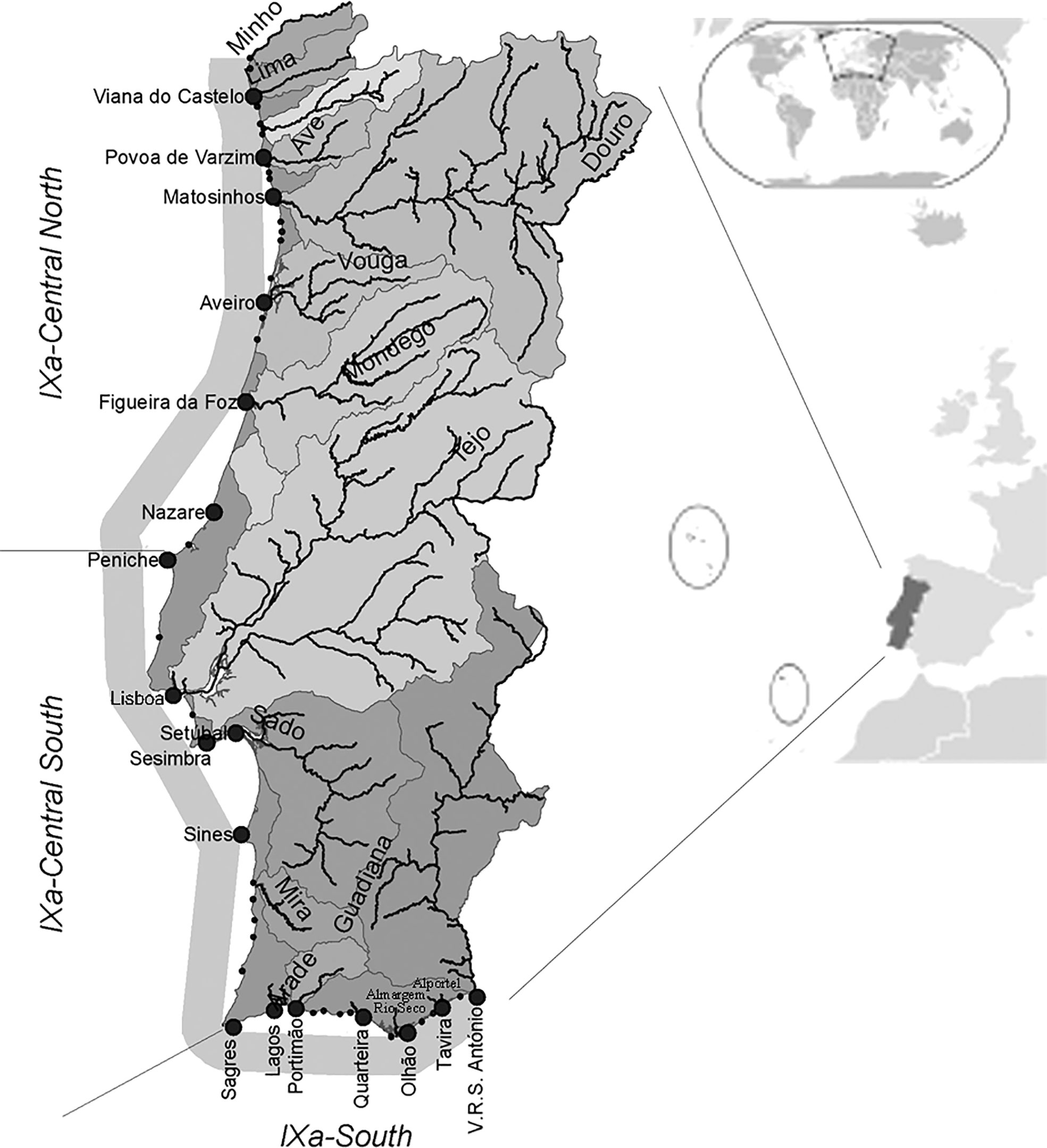 O Ciclo d'água, The water cycle for schools, Portuguese