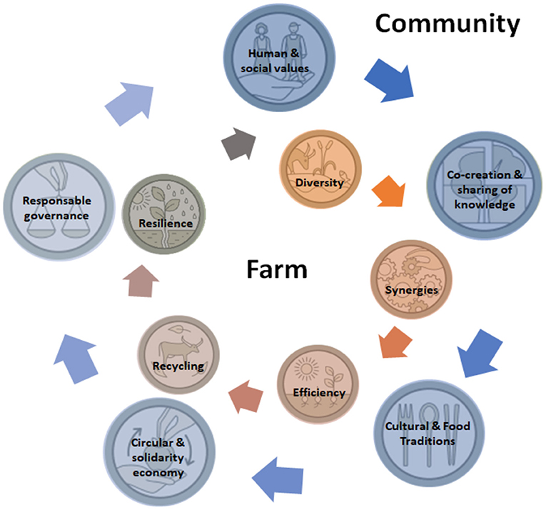 Frontiers | Regenerative agriculture—agroecology without politics?