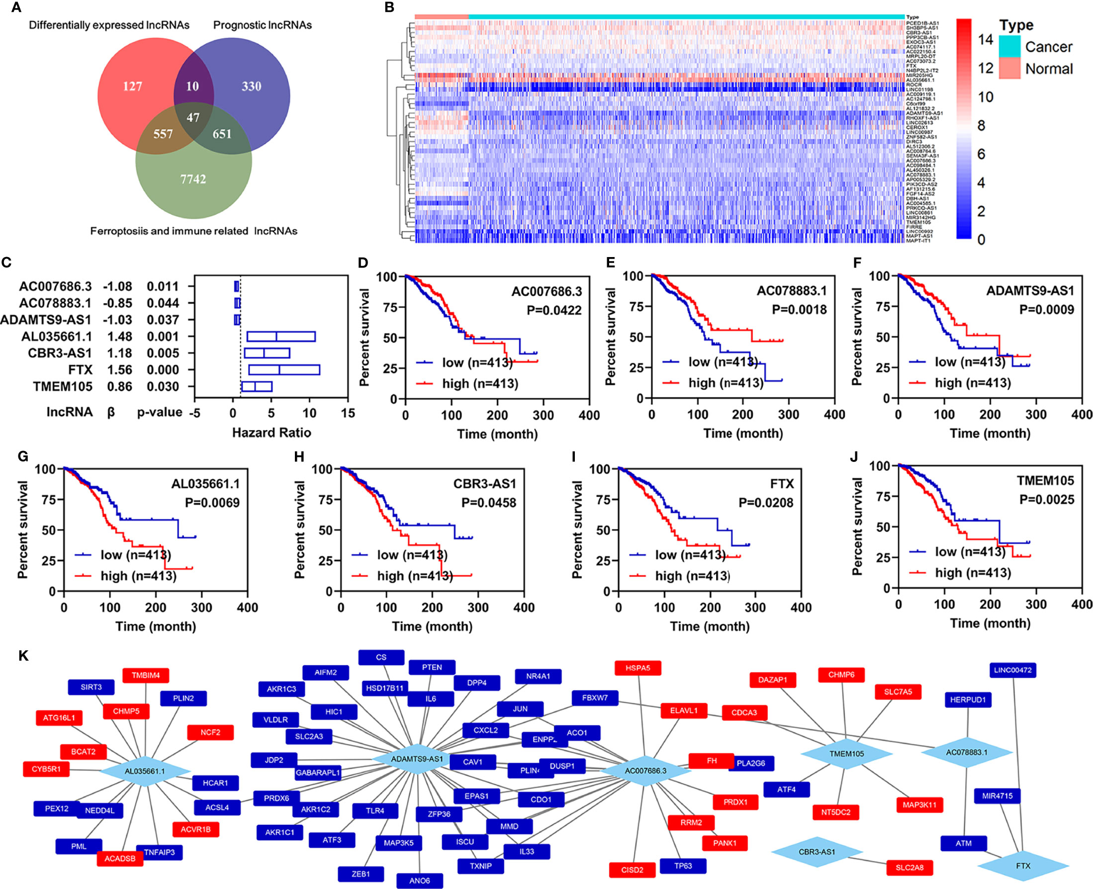 Frontiers | Development and Validation of Ferroptosis- and Immune