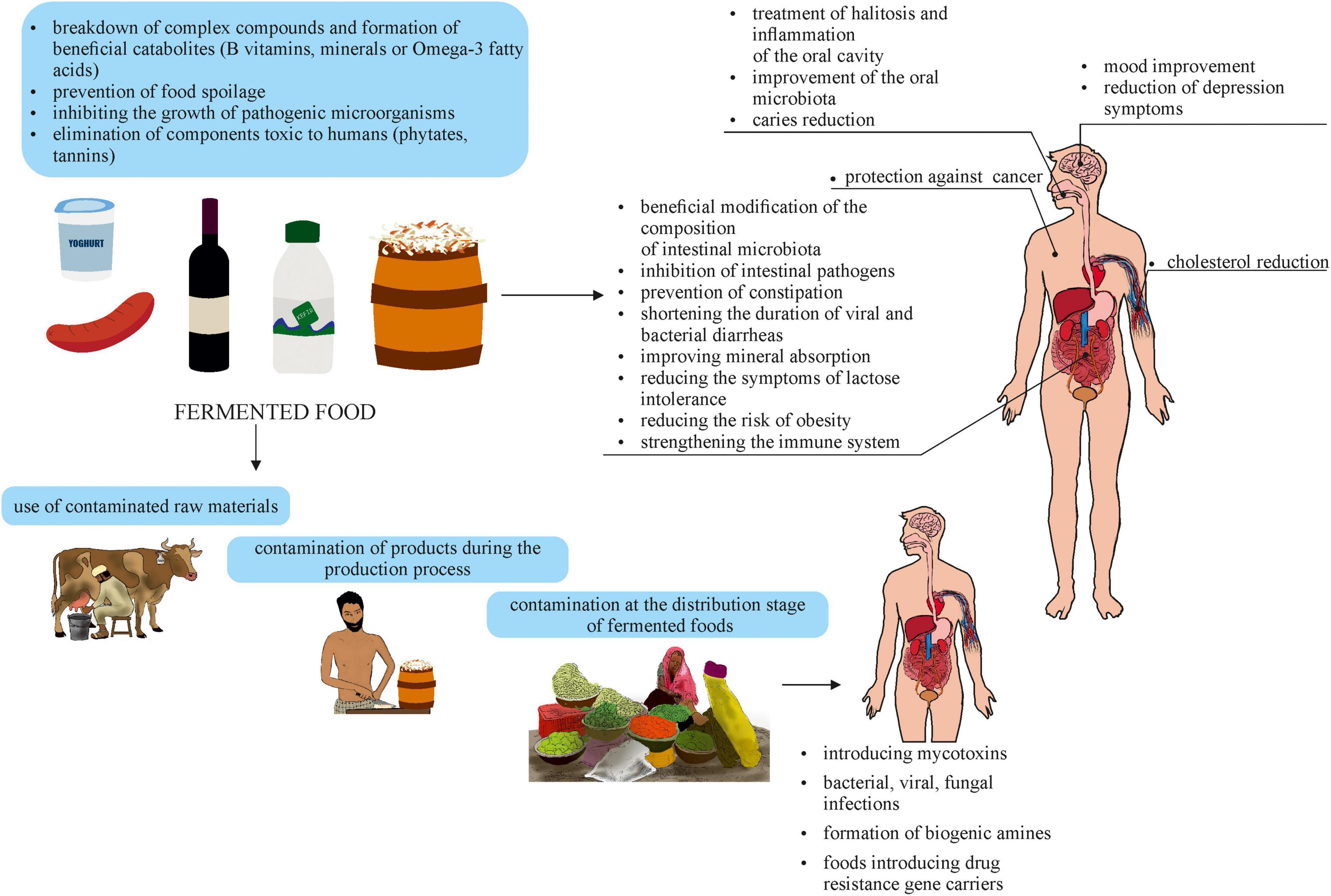 Fermentation, Free Full-Text