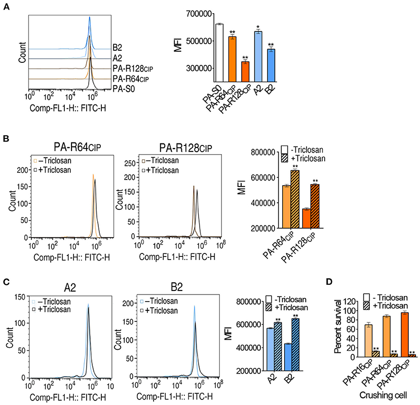 Frontiers | Enhanced Biosynthesis of Fatty Acids Contributes to 