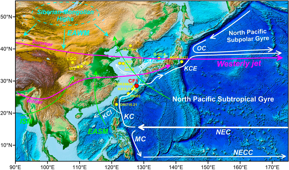 Enhanced North Pacific subtropical gyre circulation during the late  Holocene