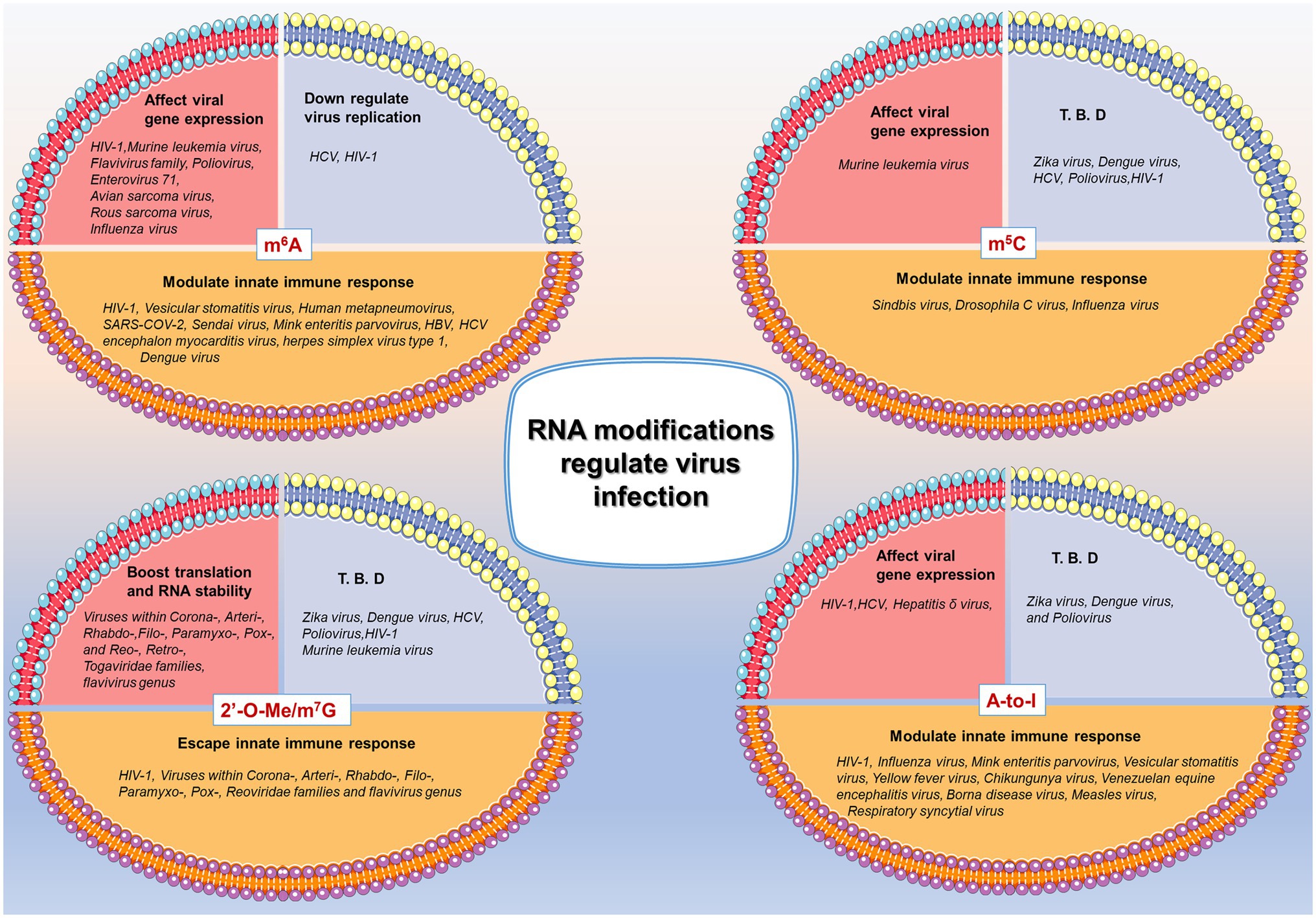 Utility of Proteomics in Emerging and Re-Emerging Infectious Diseases  Caused by RNA Viruses