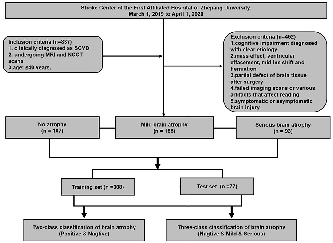 Frontiers  Fully Automatic Classification of Brain Atrophy on NCCT Images  in Cerebral Small Vessel Disease: A Pilot Study Using Deep Learning Models