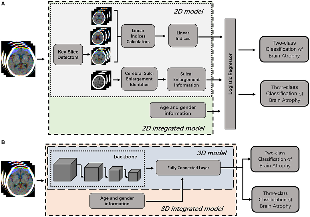 Frontiers  Fully Automatic Classification of Brain Atrophy on NCCT Images  in Cerebral Small Vessel Disease: A Pilot Study Using Deep Learning Models