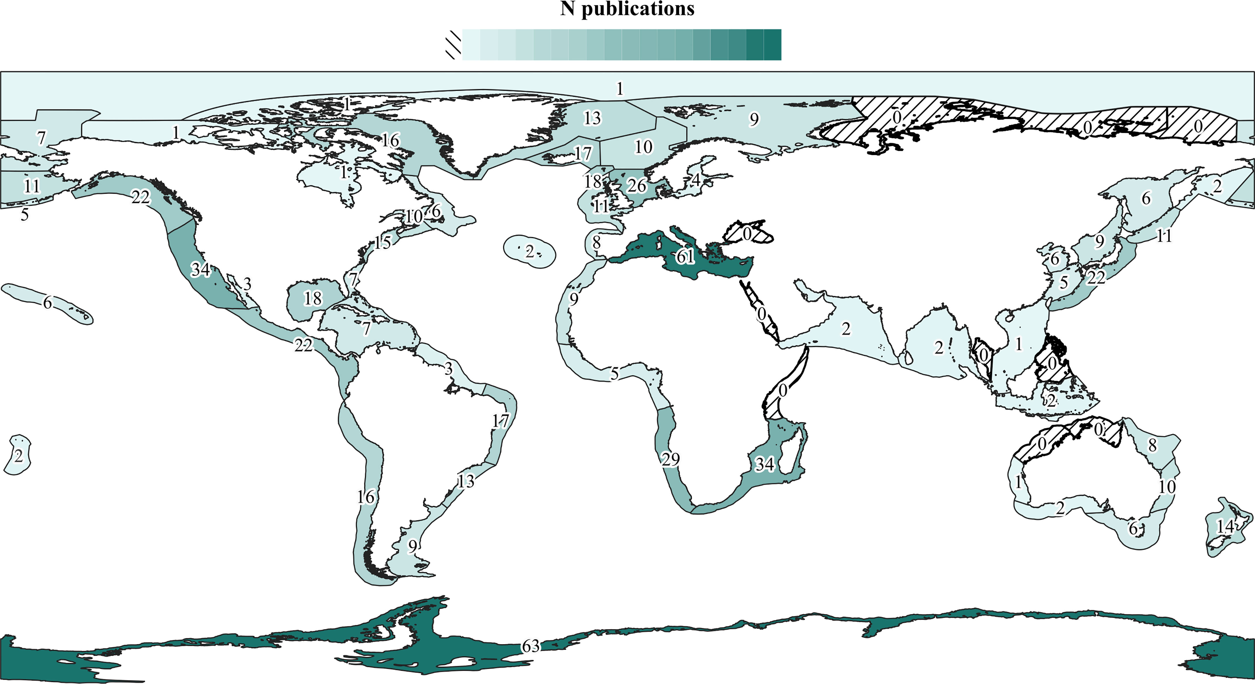 PDF) First report of a helminth infection for Bryde's whale Balaenoptera  edeni Anderson, 1878 (Cetacea, Balaenopteridae)