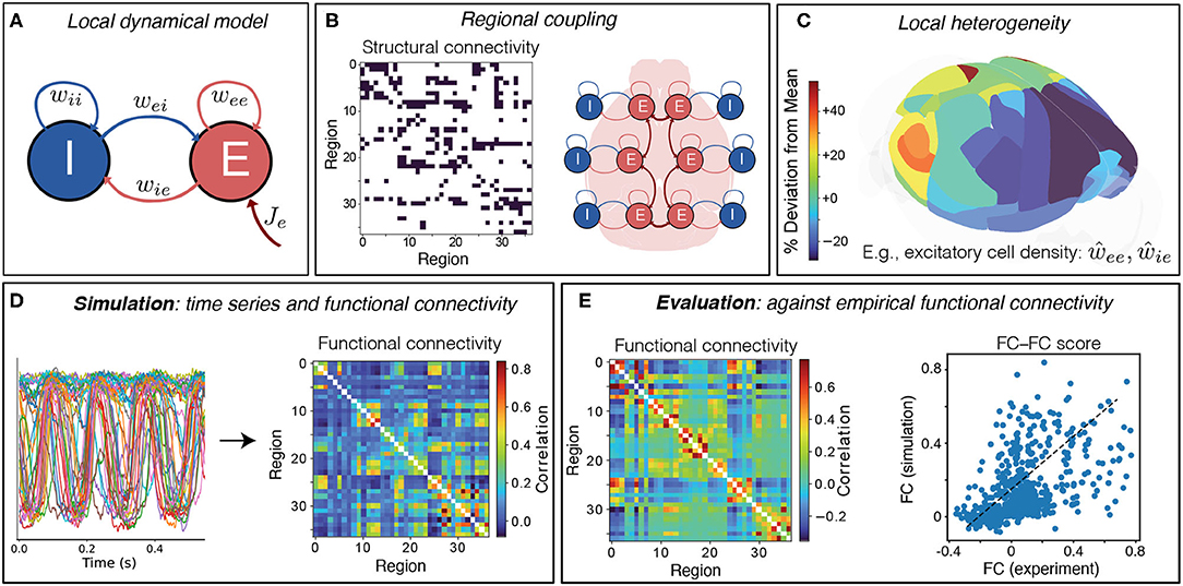 frontiers-extracting-dynamical-understanding-from-neural-mass-models
