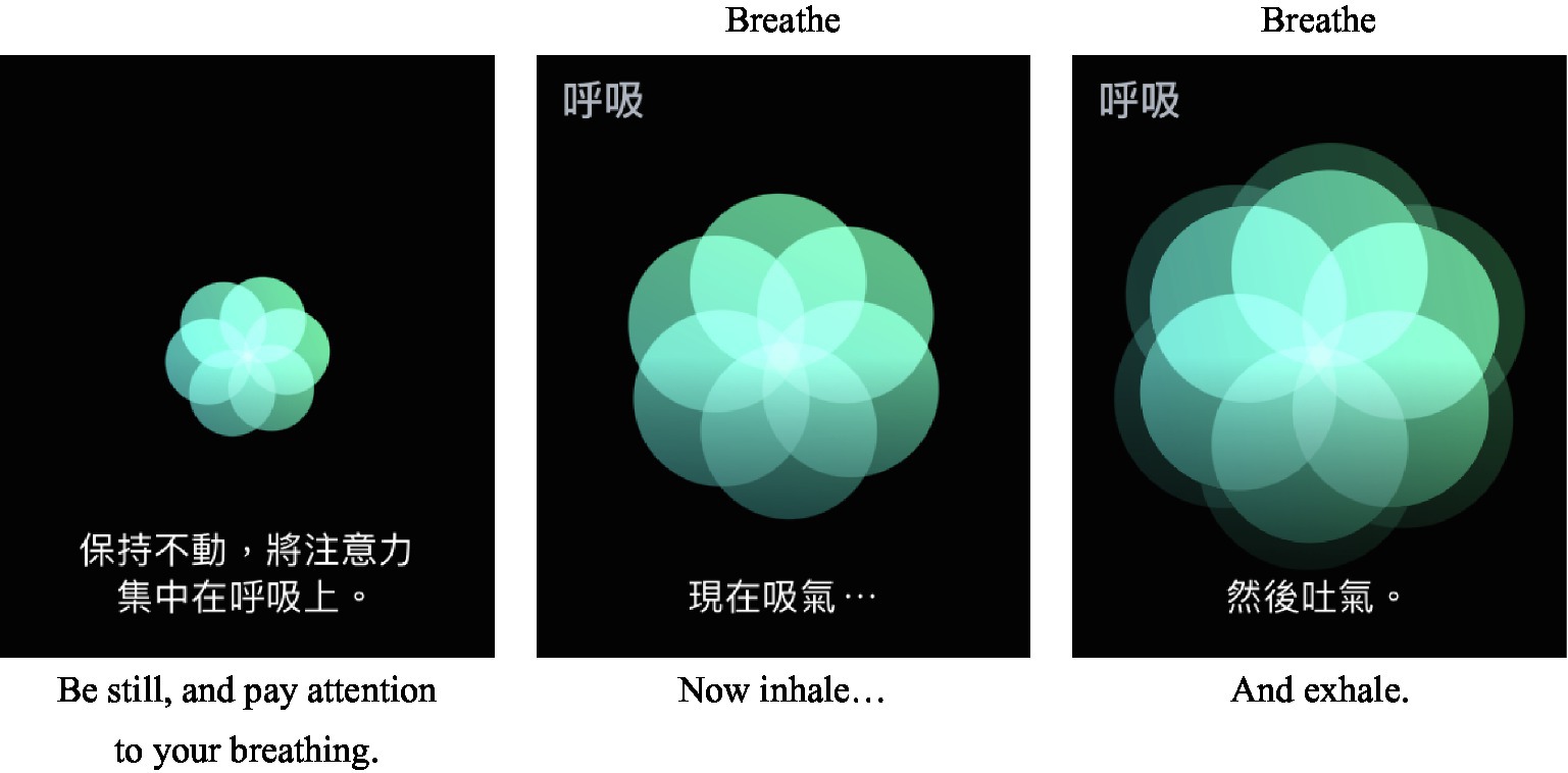 Frontiers | The Relationship of Breathing and COVID-19 Anxiety