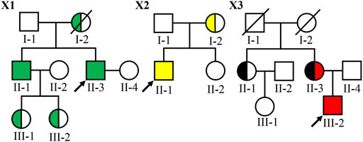 Erasers / Splice Finders