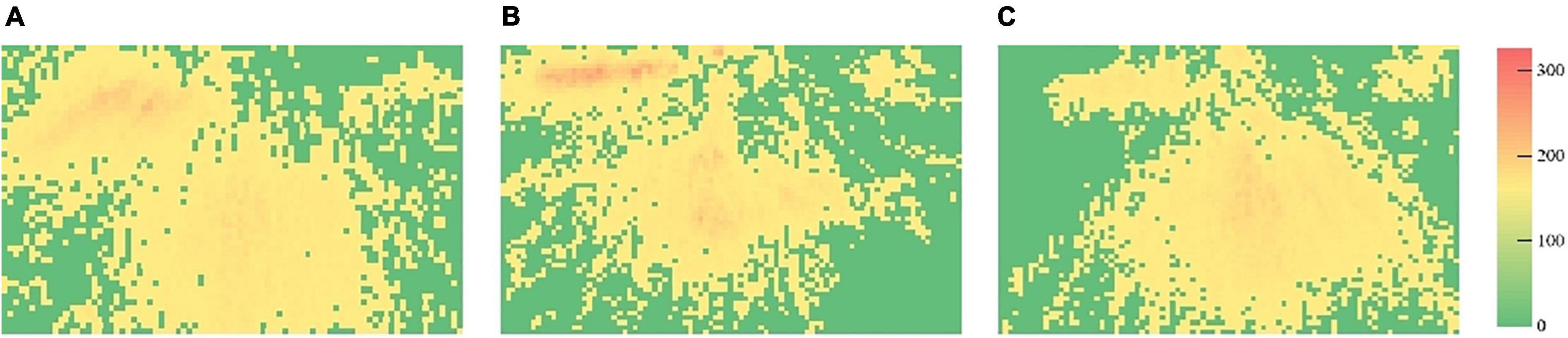 www.frontiersin.org