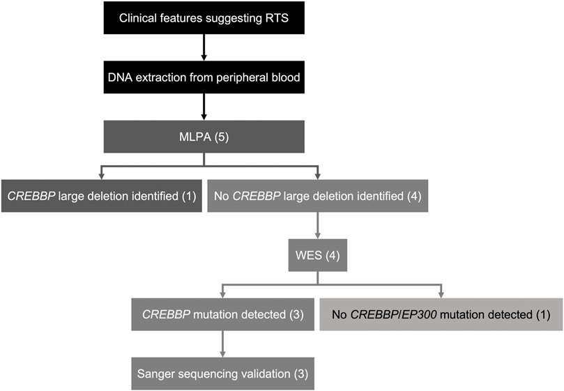 Rubinstein-Taybi syndrome in a Saudi boy with distinct features