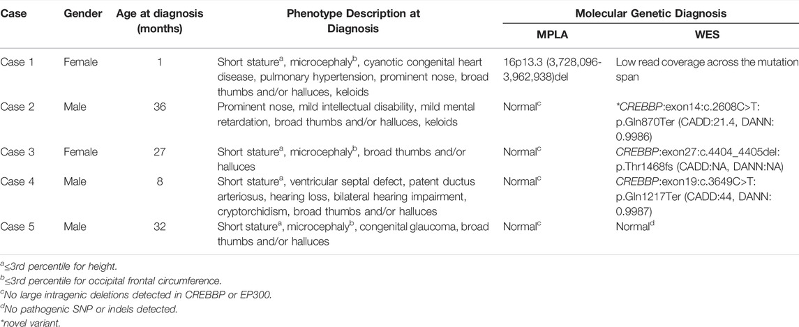 CREBBP and EP300 mutational spectrum and clinical presentations in a cohort  of Swedish patients with Rubinstein–Taybi syndrome - Wincent - 2016 -  Molecular Genetics & Genomic Medicine - Wiley Online Library