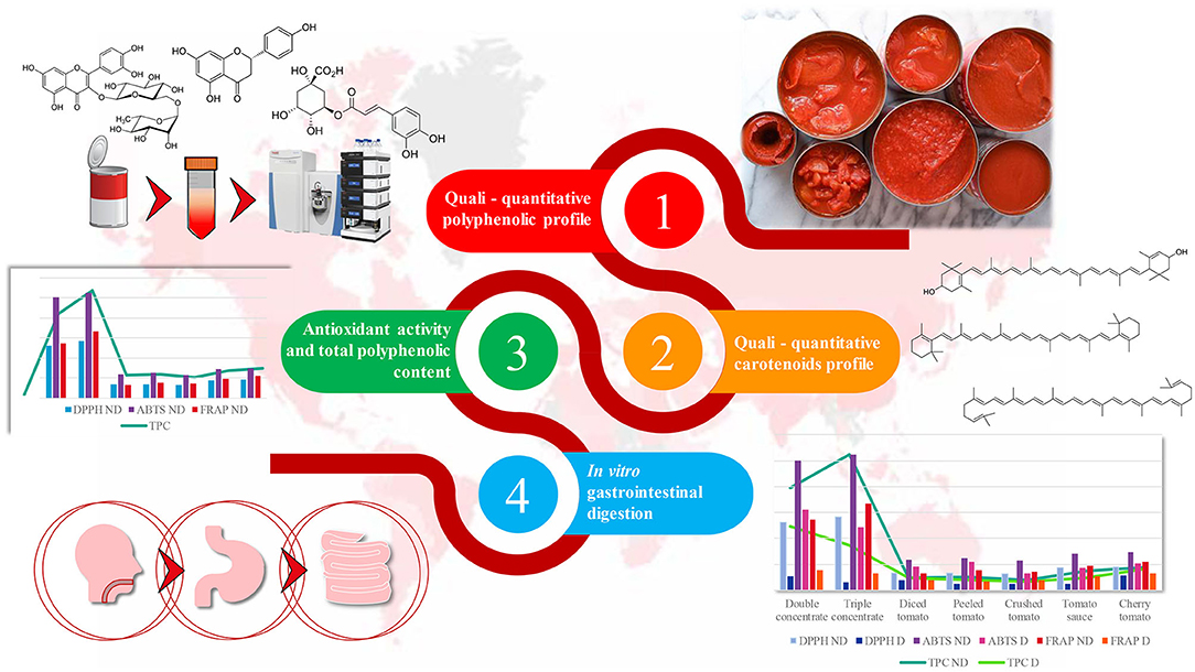 IV. Health Benefits of Antioxidants