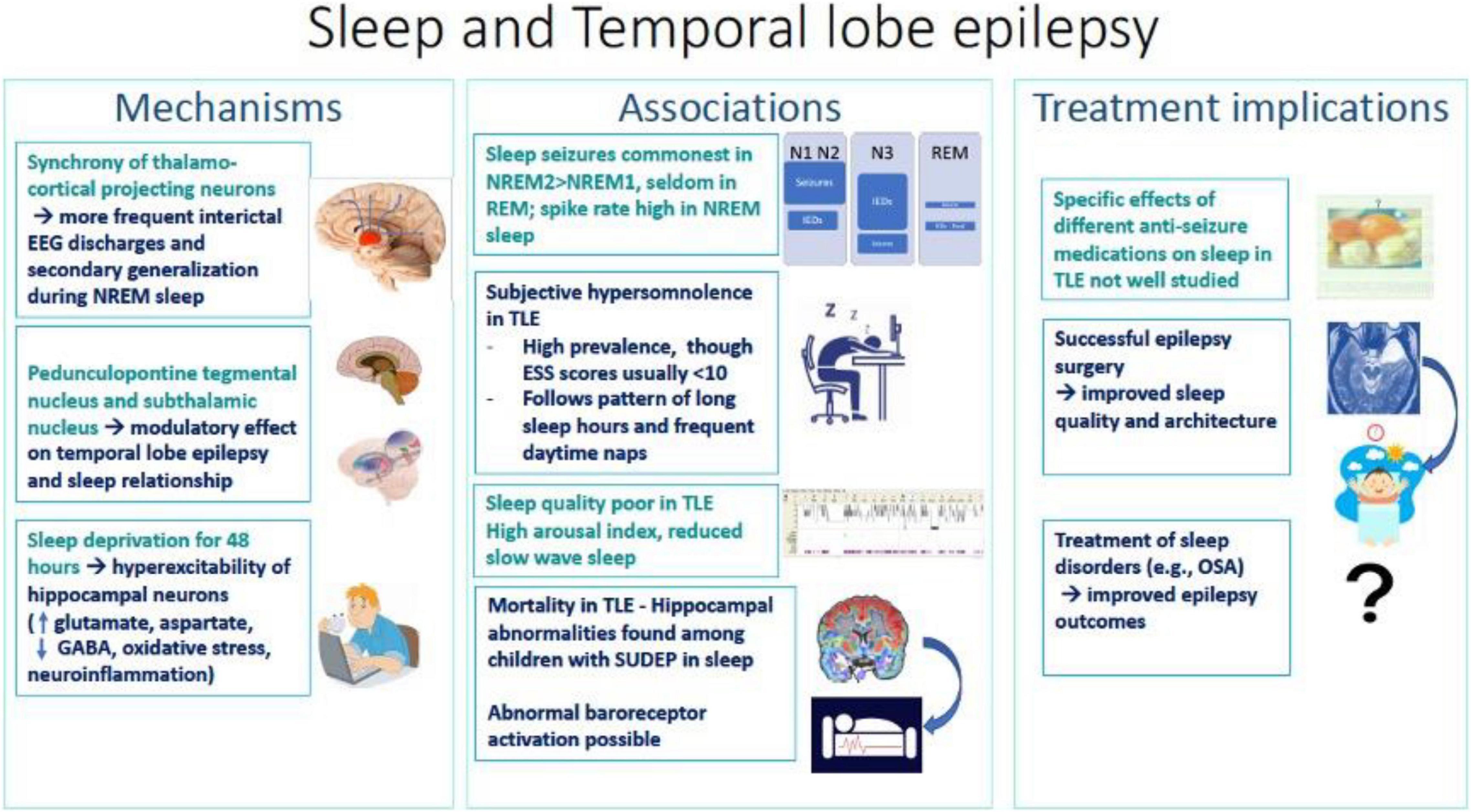Epilepsy Treatment Guidelines Pdf