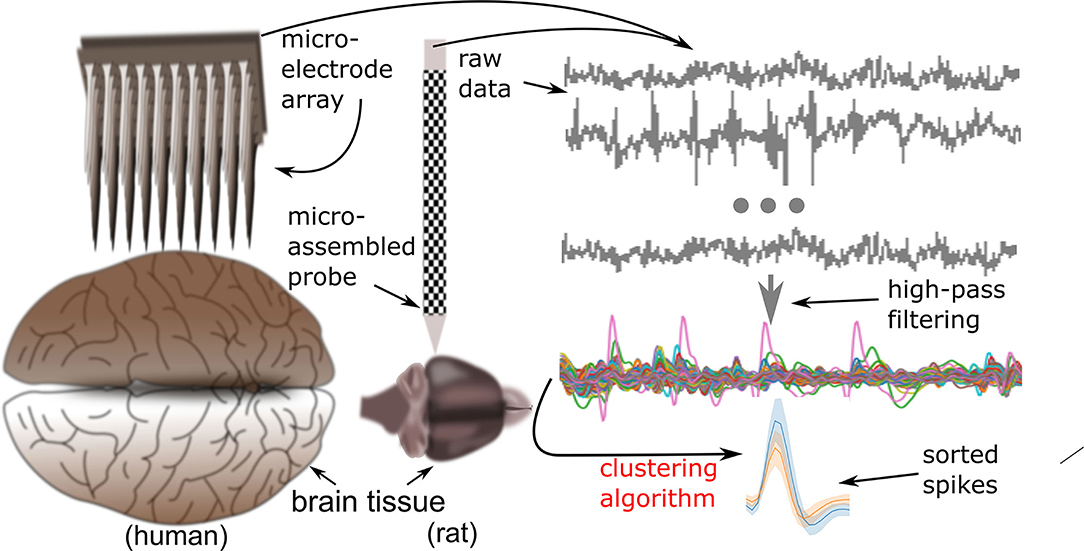 Large-scale neural recordings call for new insights to link brain and  behavior