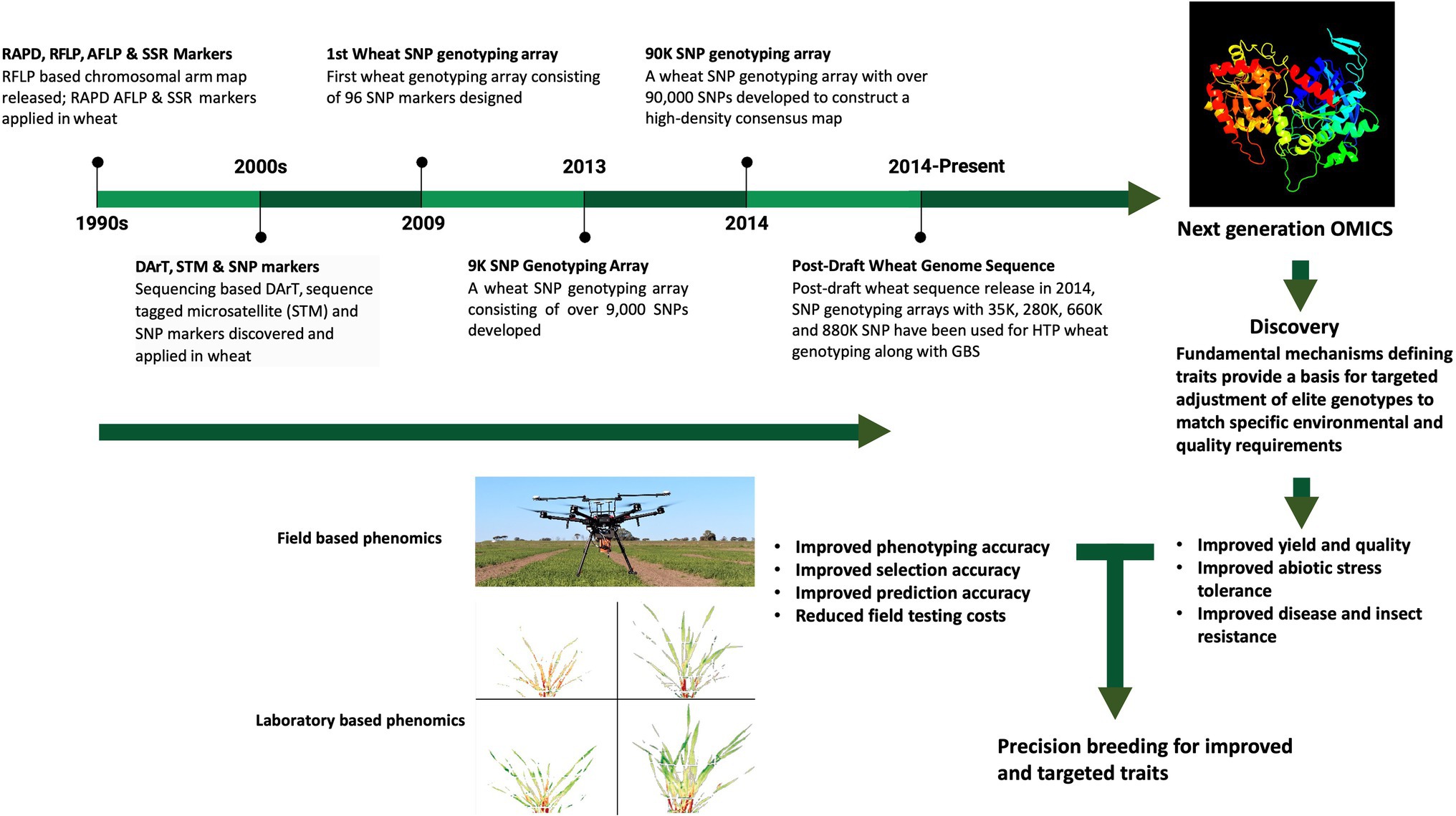 Loo Wei Ling - Seed genetic analyst II - Bayer Crop Science